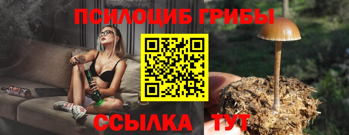Псилоцибиновые грибы Psilocybine cubensis  Галлюциногенные грибы прущие грибы  Вход с VPN  Саяногорск 